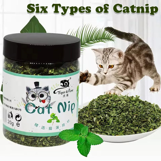 Organic 100% Natural High Quality Catnip Cattle Grass Mint Taste Funny Cat Toy New Cat Toy Interactive Cat Toys Pet Supplies