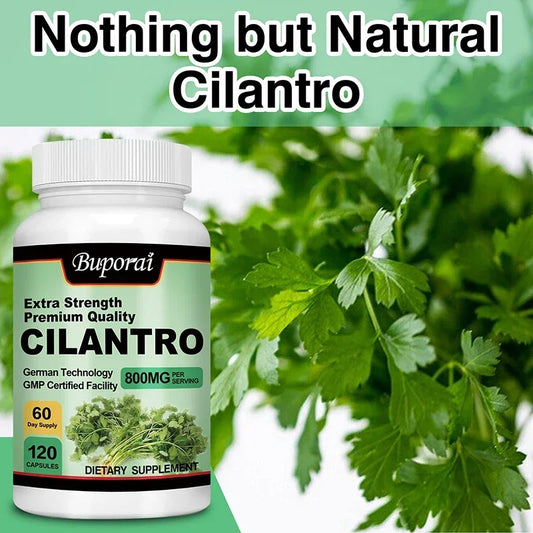 Cilantro Supplement - Rich Source of Antioxidants - Natural Cleansing & Detox Supplement