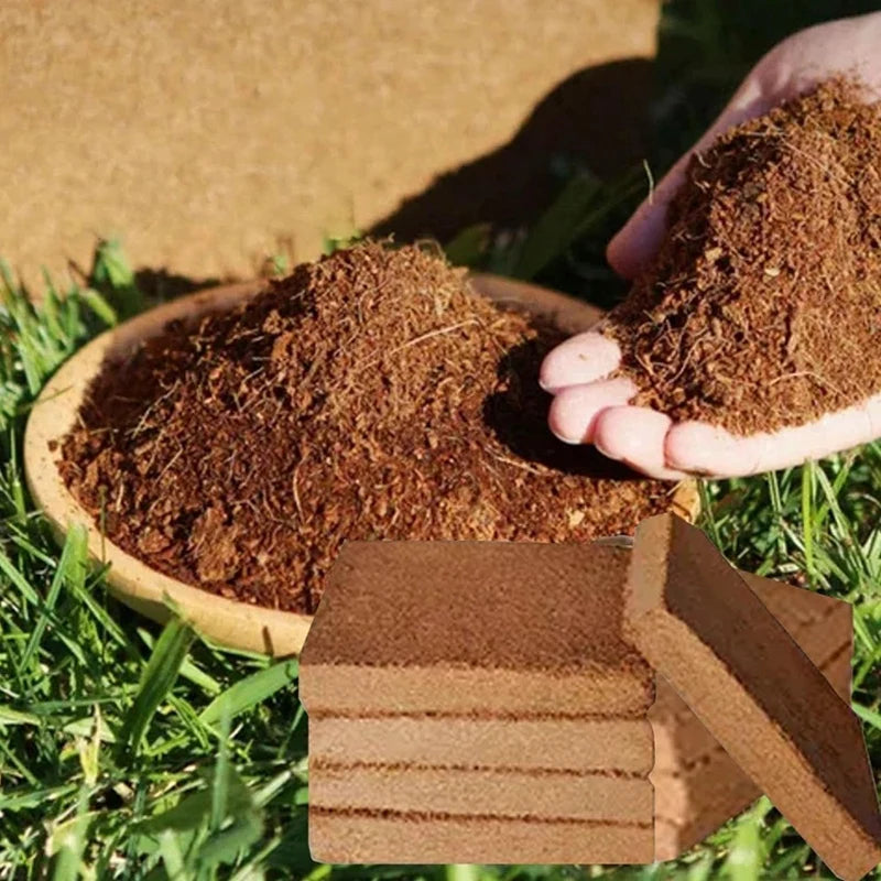 Organic Coconut Fiber For Plants, Organic Coconut Bricks, Natural Organic Compressed Coconut